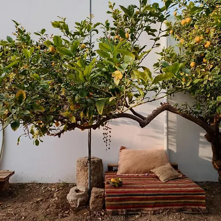 Country house Cyprus Village House Kyrenia (Northern Cyprus)