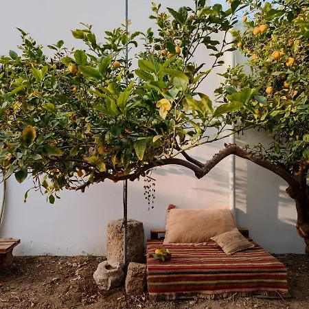 Casa de Campo Cyprus Cirénia