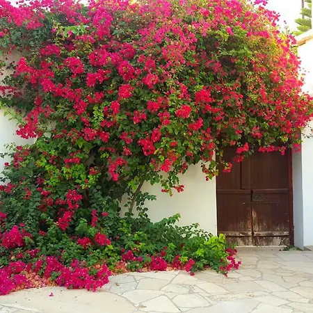 Cyprus Village House *