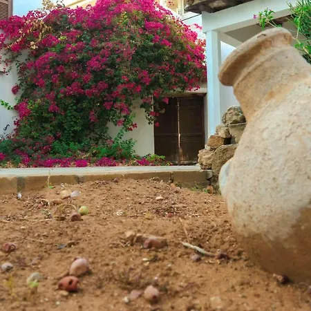 Cyprus Village House *