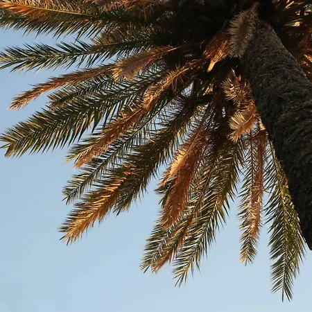 Casa de Campo Cyprus Cirénia