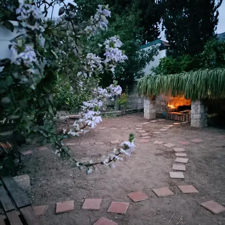 Cyprus Gospodarstwo wiejskie *