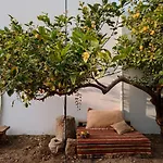 Εξοχικό σπίτι Cyprus Κερύνεια