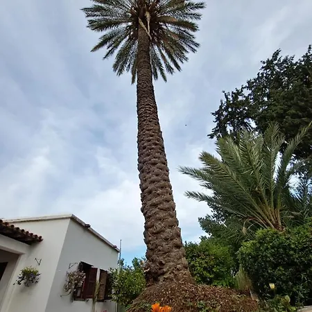 Cyprus