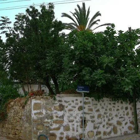 Cyprus Village House 乡村民宿 *