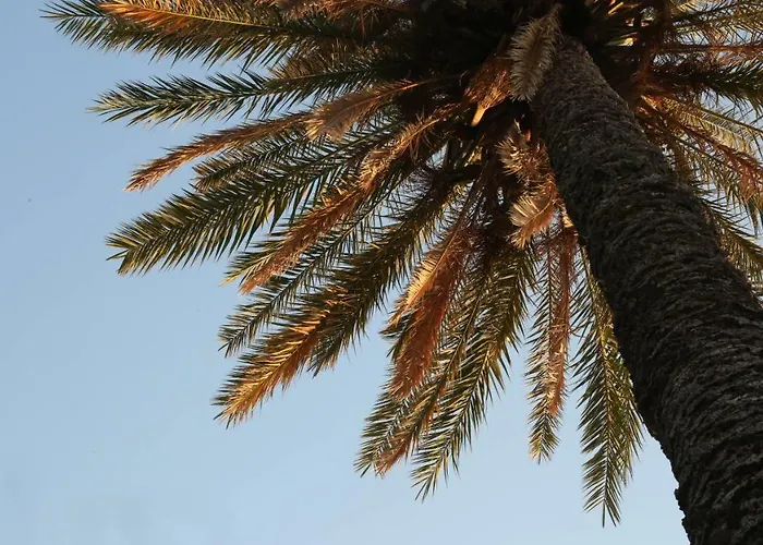 Εξοχικό σπίτι Cyprus Κερύνεια